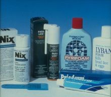 does head lice treatment kill fleas